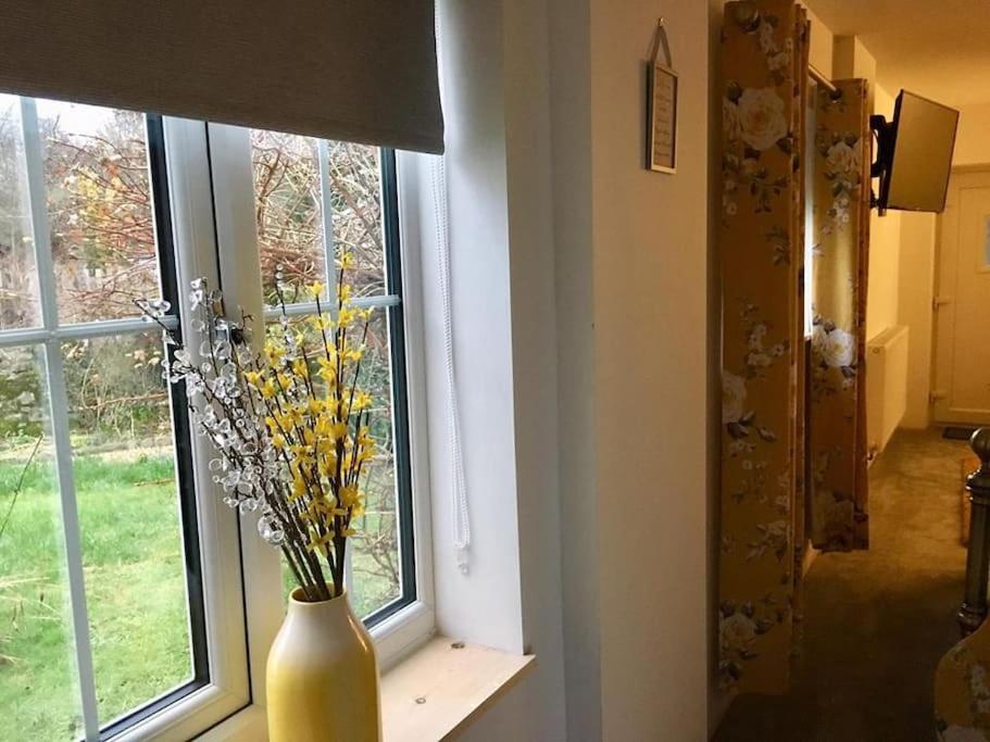 Daffodil House , West Wales Llandovery Exterior foto